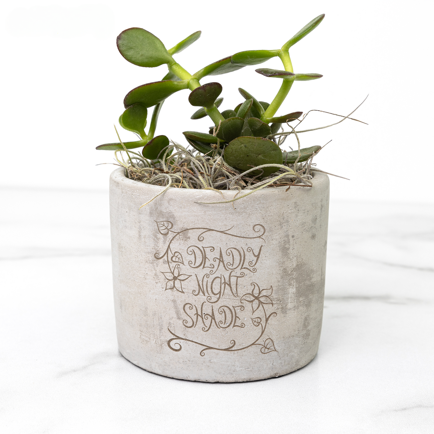 Deadly Nightshade Potion Planter | The Nightmare Before Christmas
