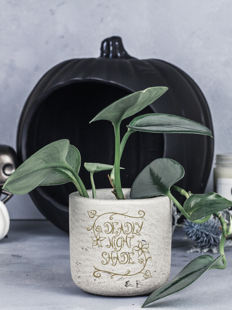 Deadly Nightshade Potion Planter | The Nightmare Before Christmas