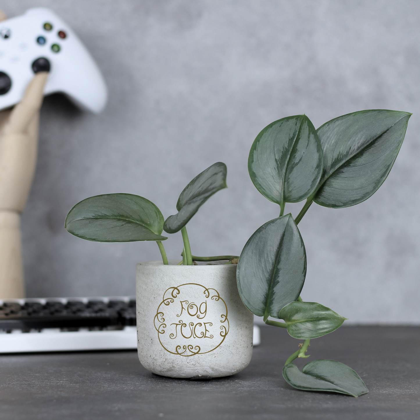 Fog Juice Potion Planter for Small Desk Plants | The Nightmare Before Christmas