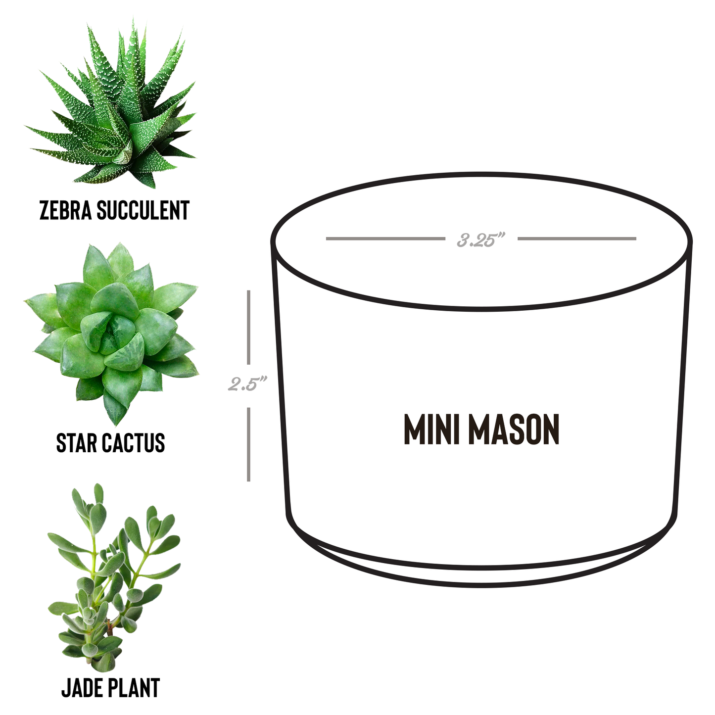 GEEK_Planter_for_Gamers_and_Streamers_an_Mason_Spec_Mockup.png