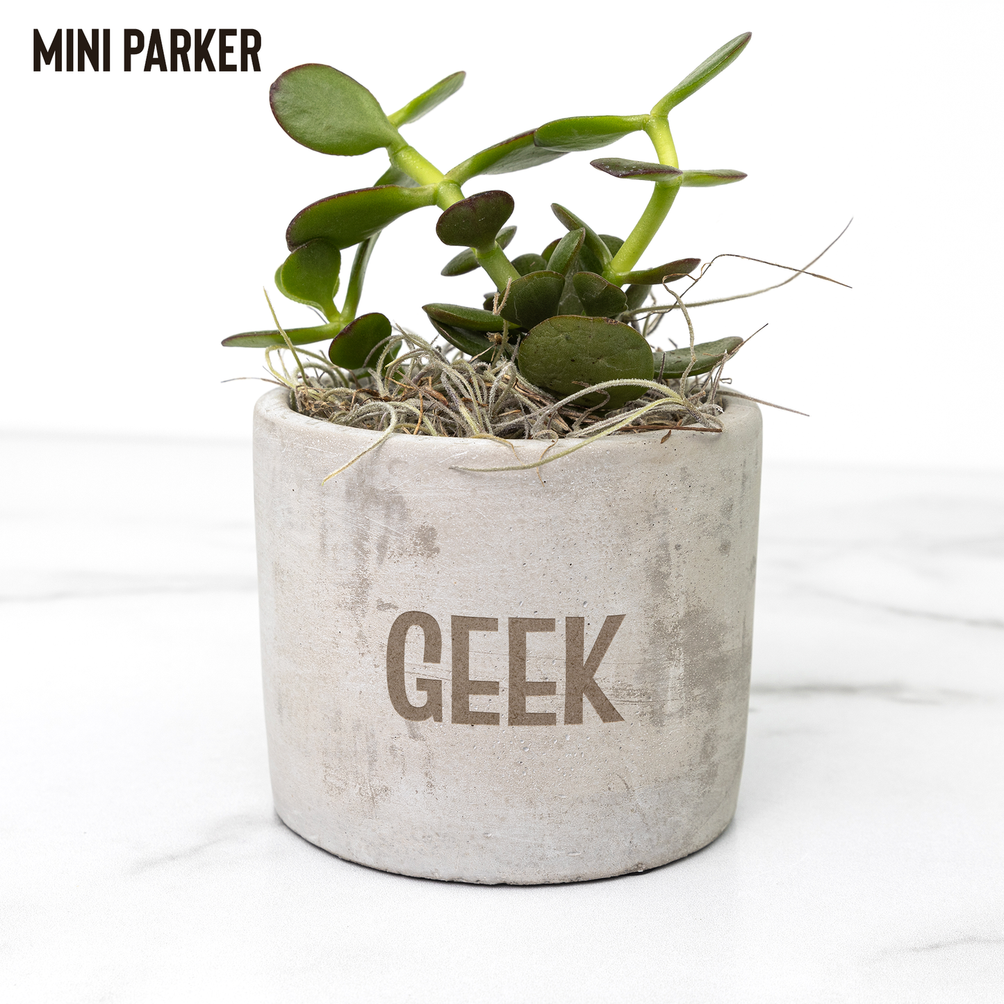 GEEK_Planter_for_Gamers_and_Streamers_an_Parker_Mockup_Mockup.png