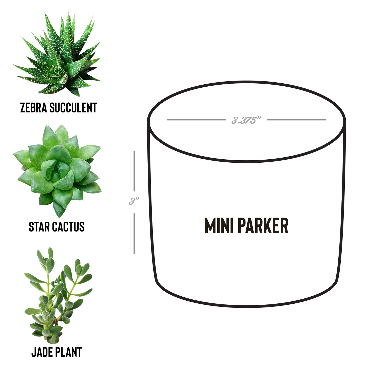 GEEK_Planter_for_Gamers_and_Streamers_an_Parker_Spec_Mockup.png
