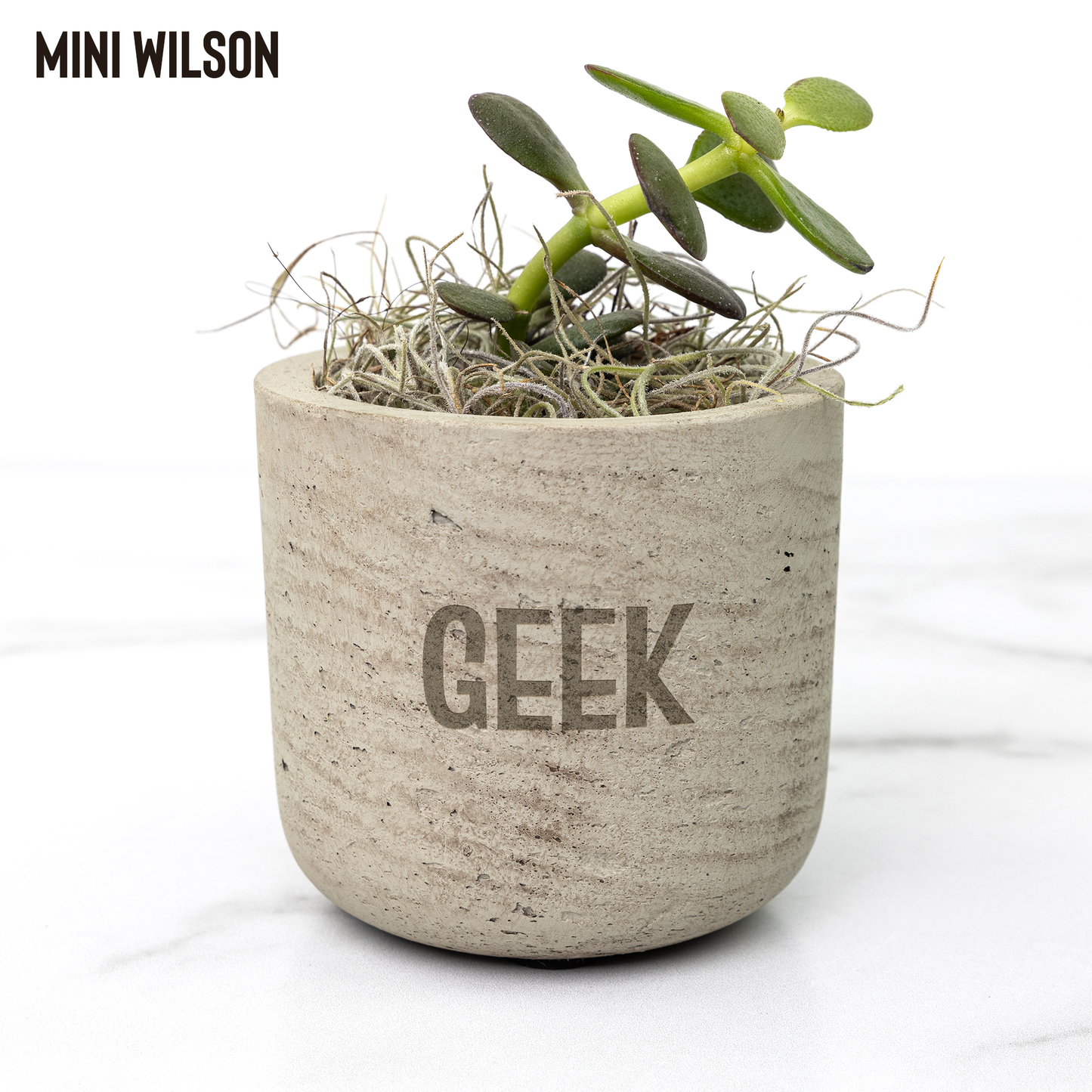 GEEK_Planter_for_Gamers_and_Streamers_an_Wilson_Mockup_Mockup.png