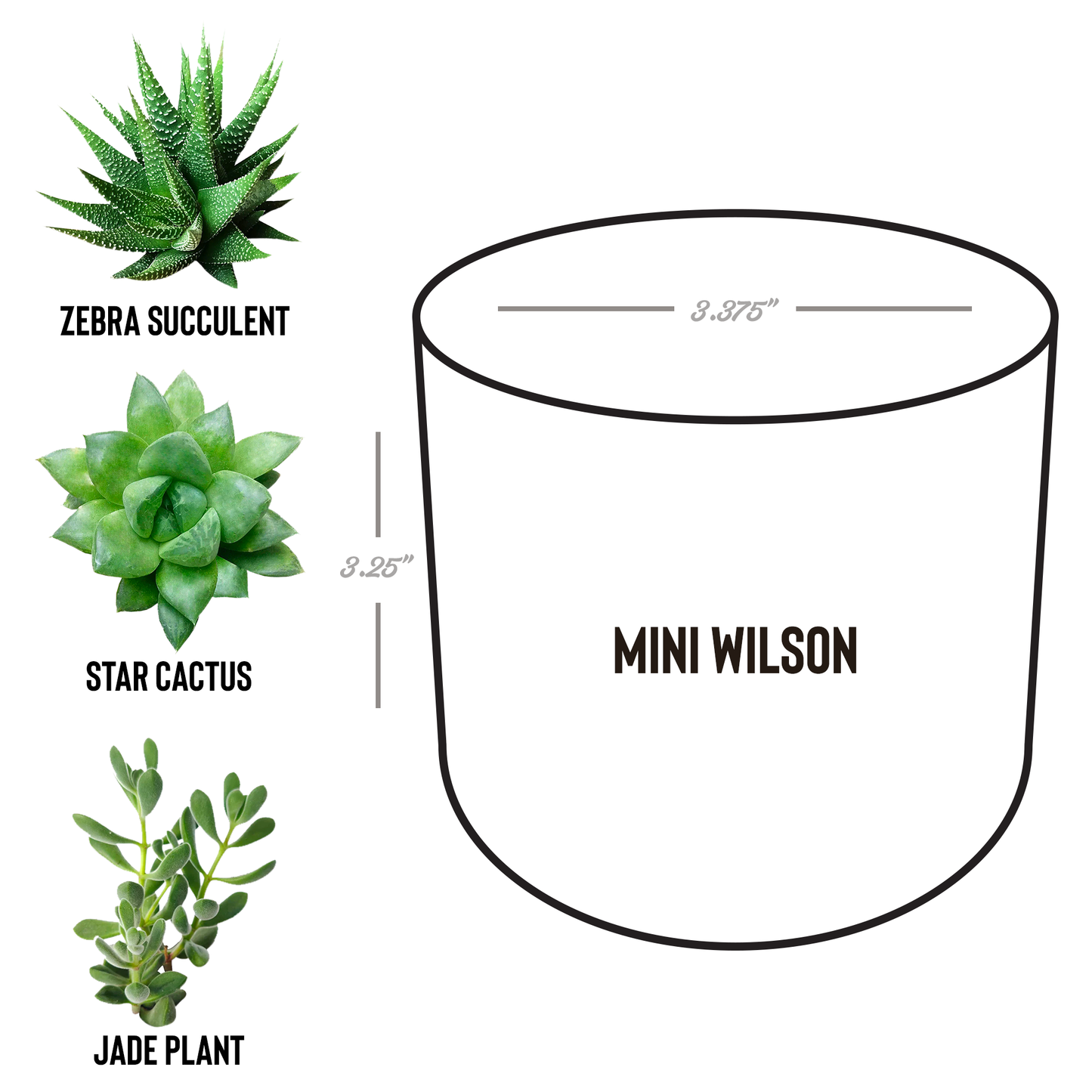 GEEK_Planter_for_Gamers_and_Streamers_an_Wilson_Spec_Mockup.png