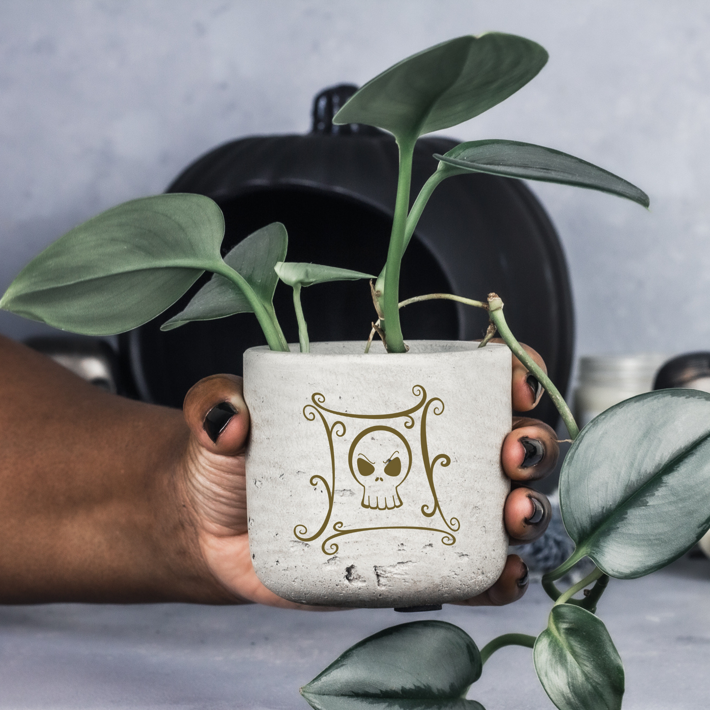 Jack Skull Potion Planter for Small Desk Plants | The Nightmare Before Christmas