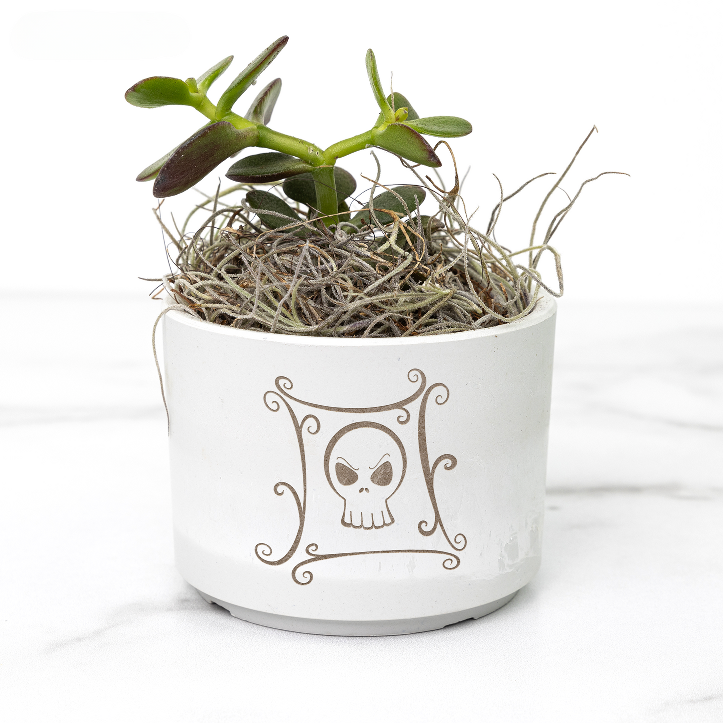 Jack Skull Potion Planter for Small Desk Plants | The Nightmare Before Christmas