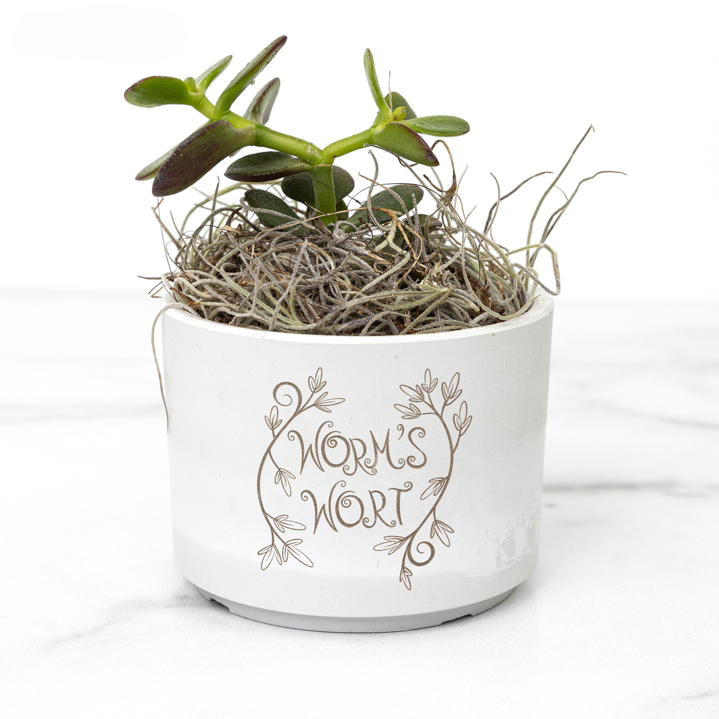 Worm's Wort Potion Planter | The Nightmare Before Christmas