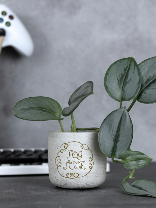 Fog Juice Potion Planter for Small Desk Plants | The Nightmare Before Christmas