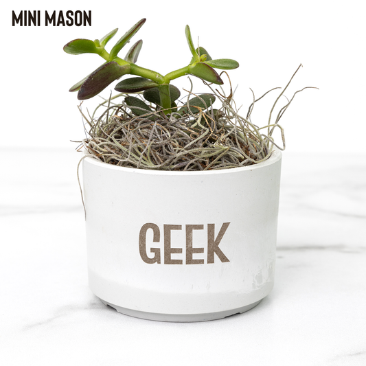 GEEK_Planter_for_Gamers_and_Streamers_an_Mason_Mockup_Mockup.png