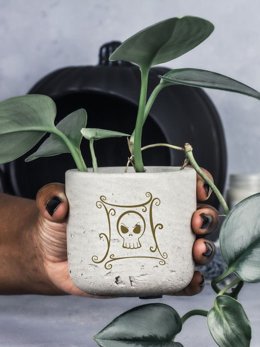 Jack Skull Potion Planter for Small Desk Plants | The Nightmare Before Christmas